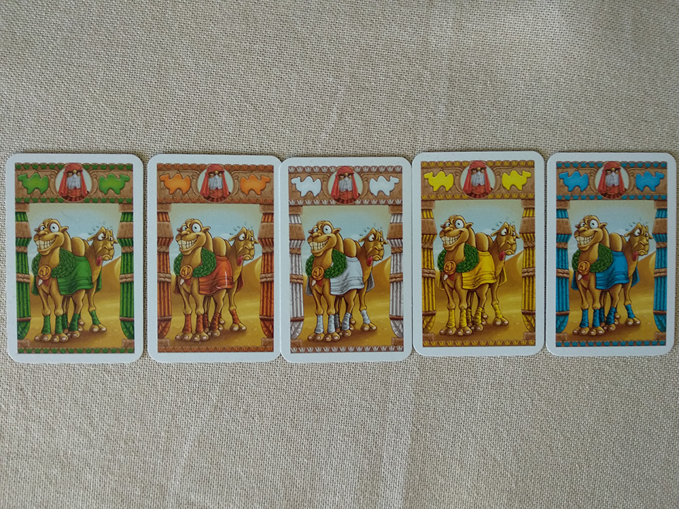 Image showing the 5 cards used for race winner or loser bets